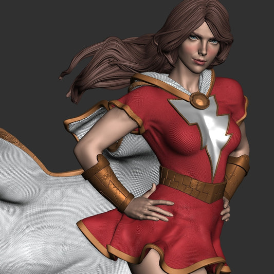 T00239-Mary Bromfield-DC