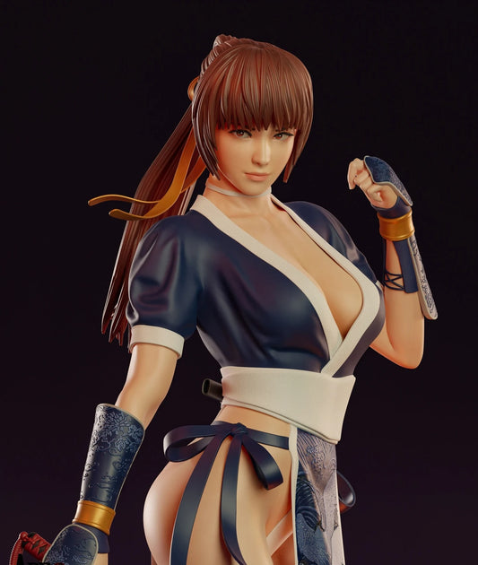 T00259-Kasumi-Dead or Alive
